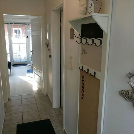 Seehund Westerdeichstrich