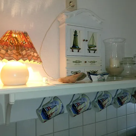 Seehund Westerdeichstrich