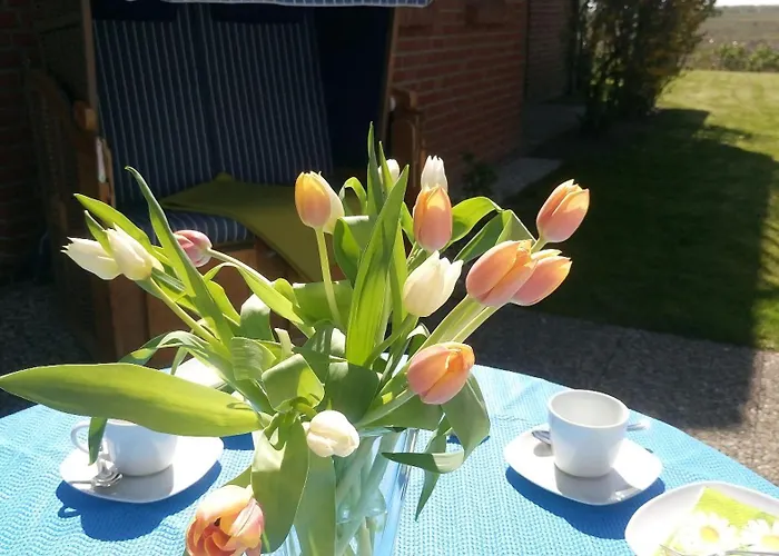 Seehund Appartamento