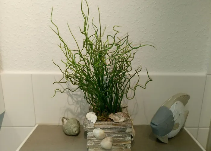 Appartamento Seehund *