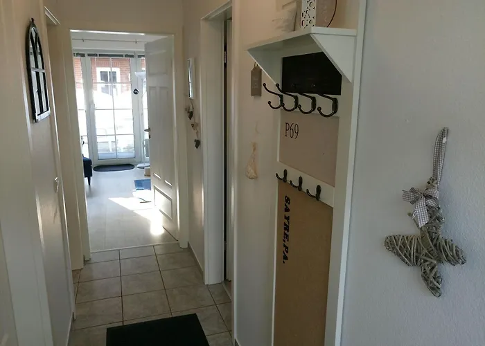 Seehund Westerdeichstrich