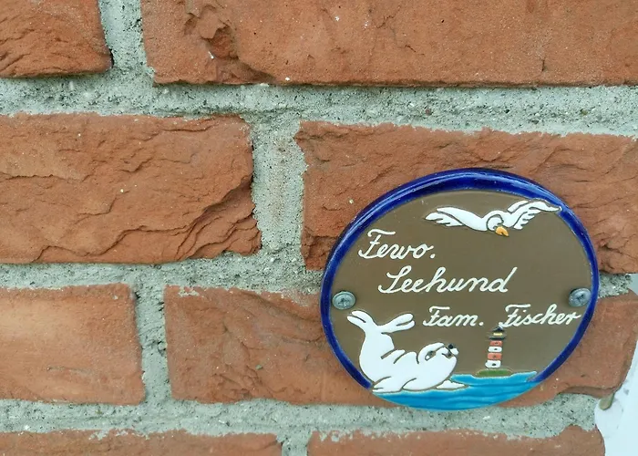 Seehund Westerdeichstrich